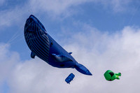 Portsmouth kite Festival 25-27th August