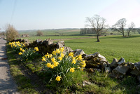 Roadside View, Peak District in Spring