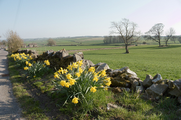 Roadside View, Peak District in Spring