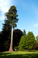 Scotney Castle Gardens, Kent