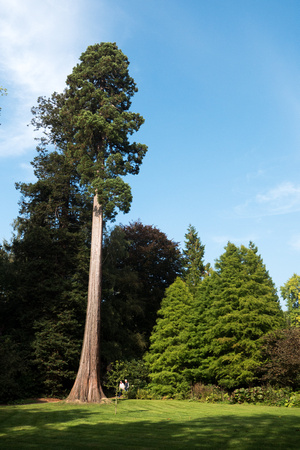 Scotney Castle Gardens, Kent