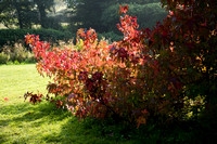 Scotney Castle Gardens, Kent