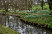 Stream on route to Leeds Castle