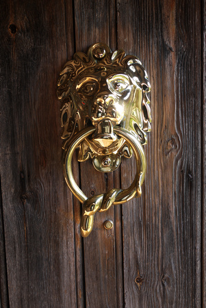 Detail of front door knocker
